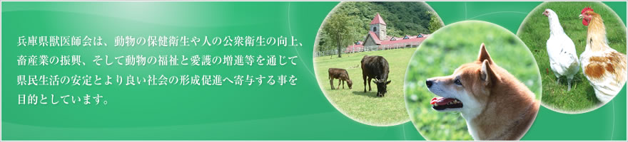 一般社団法人兵庫県獣医師会は、動物の保健衛生や人の公衆衛生の向上、畜産業の振興、そして動物の福祉と愛護の増進等を通じて県民生活の安定とより良い社会の形成促進へ寄与する事を目的としています 