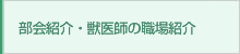 部会紹介・獣医師の職場紹介